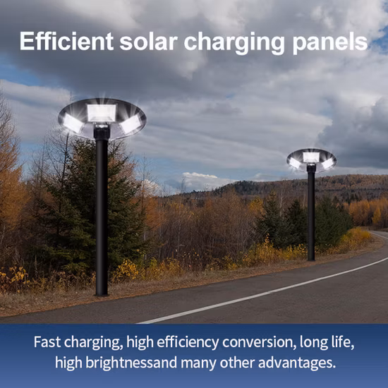 Outdoor Pathway Motion Sensor and Remote Control Solar Garden Light